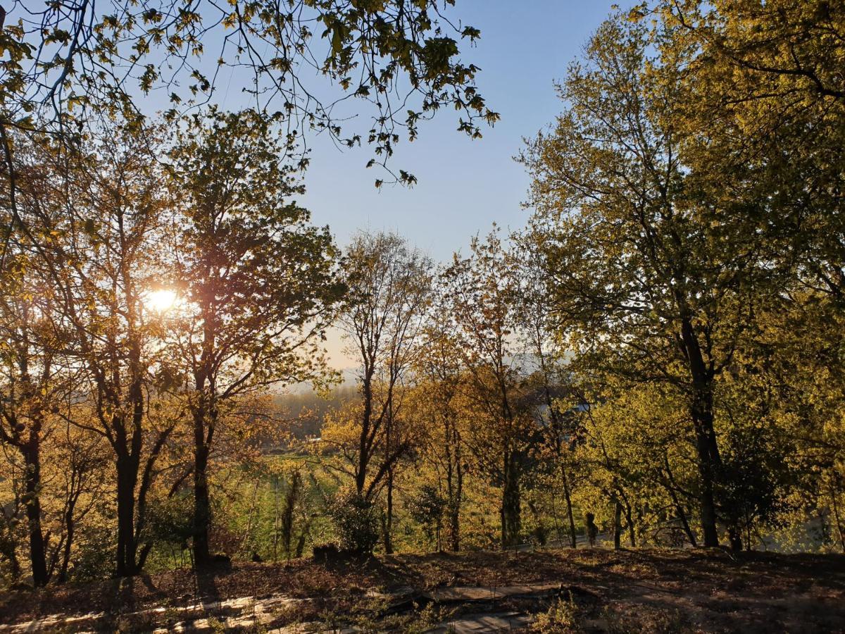 Quinta Das Essencias Penafiel Εξωτερικό φωτογραφία