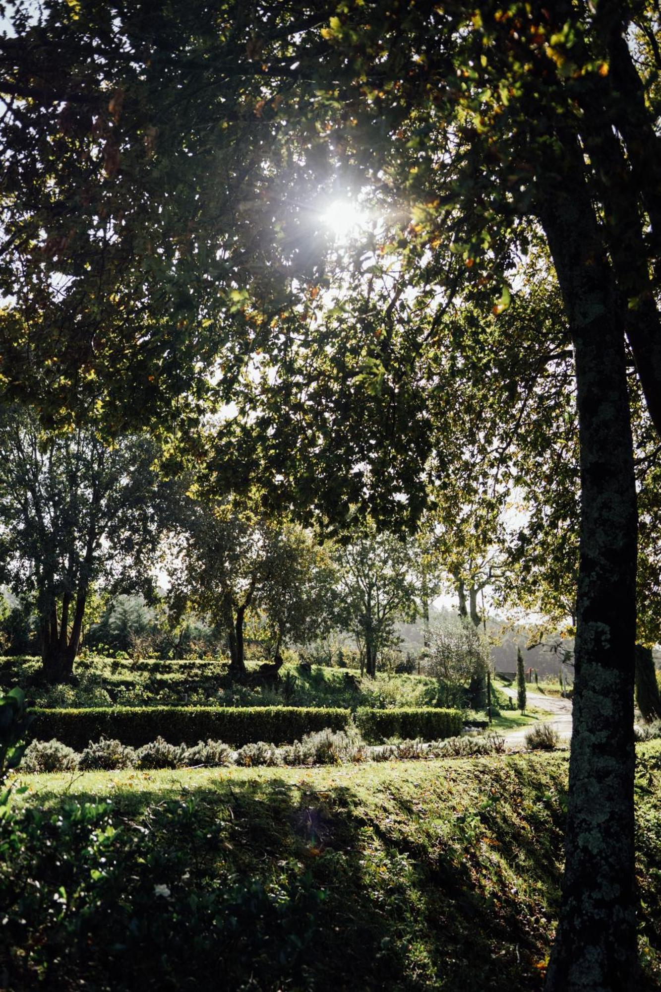 Quinta Das Essencias Penafiel Εξωτερικό φωτογραφία
